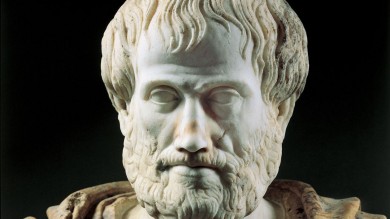 Вклад Аристотеля в анатомию, медицину и философию