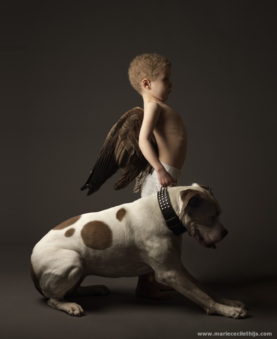 ангел с собакой